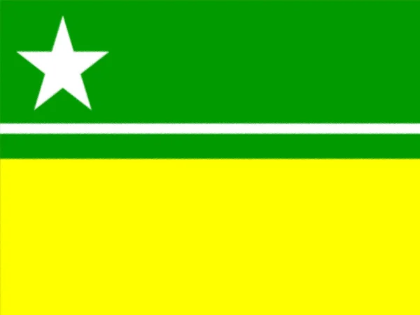 Bandeira Boa Vista Roraima Textura Fundo — Fotografia de Stock