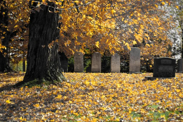 Монреаль Канада Октября 2015 Могилы Кладбище Нотр Дам Ньеж Красочными — стоковое фото