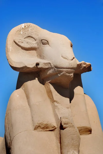 Avenue Ram Headed Sphinxes Templos Karnak Luxor Egito — Fotografia de Stock
