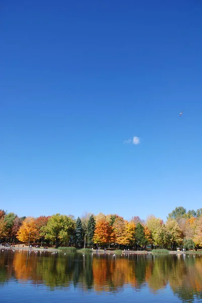 Beau Paysage Automne Avec Eau Des Arbres Colorés — Photo