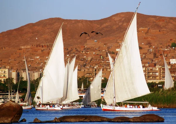 Aswan Egypt Felucca在埃及阿斯旺附近的尼罗河上航行 今天看到的Felucca是公元前3350年发明的 目前仍在阿斯旺或卢克索等毗邻尼罗河的城市进行运输 — 图库照片