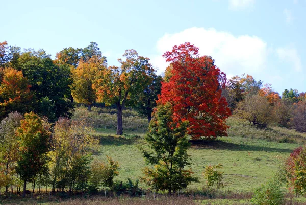 Hermoso Paisaje Otoñal Bromont Canadá —  Fotos de Stock