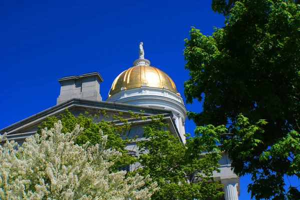 Montpelier Vermont Usa 2009 Vermont State House State Capitol State — Stock Photo, Image