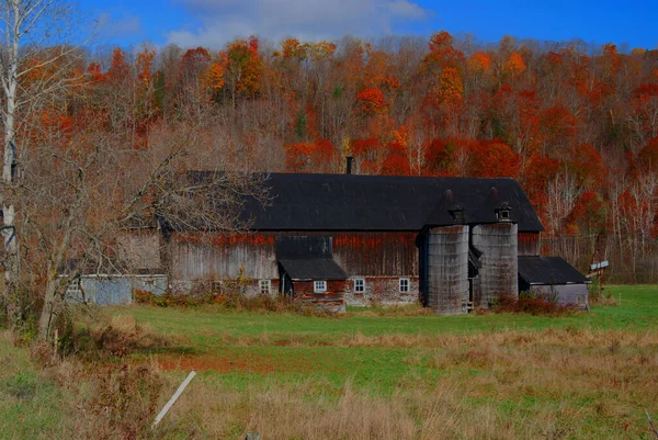 Granero Madera Vieja Rodeado Follaje Otoño Brillante Bromont Quebec Canadá — Foto de Stock