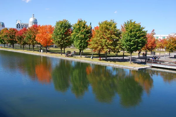 Montreal Quebec Canada 2010 Paisagem Outono Parc Jean Drapeau Com — Fotografia de Stock