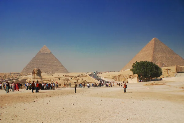 Cairo Egipto Gran Esfinge Guiza Estatua Una Esfinge Reclinada Una — Foto de Stock