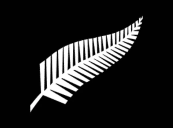 Флаг Серебряного Папоротника Новый Флаг Новой Зеландии — стоковое фото