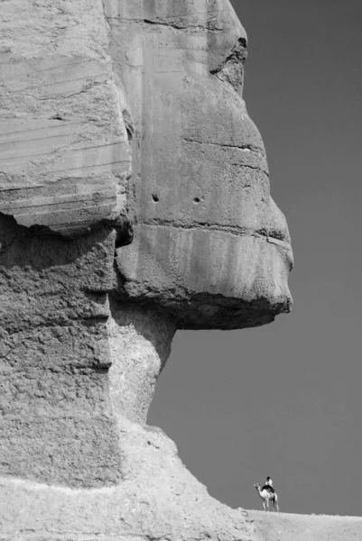 Cairo Egito 2010 Grande Esfinge Gizé Esfinge Gizé Uma Estátua — Fotografia de Stock