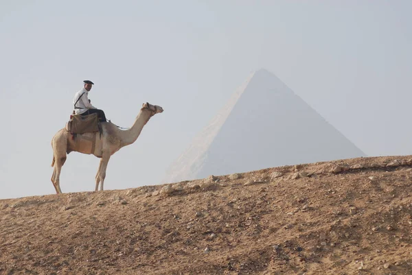Giza Egypt Üniformalı Turizm Polisi Büyük Giza Piramidi Kufu Veya — Stok fotoğraf