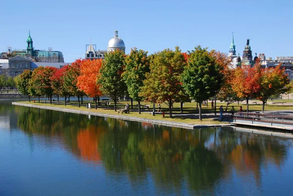 MONTREAL, QUEBEC, CANADA - 10 2010: Arka planda eski Montreal ile Parc Jean Drapeau 'dan sonbahar manzarası 
