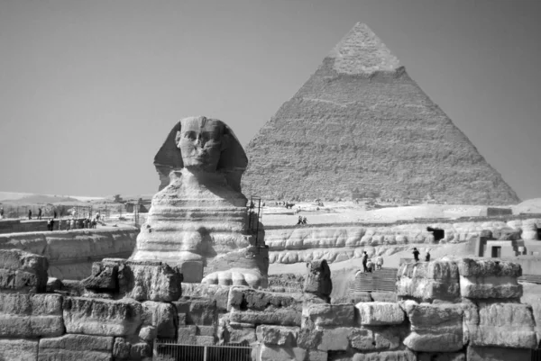 Cairo Egypt 2010年11月22日 吉萨狮身人面像或吉萨狮身人面像是狮身人面像的神话生物 是狮身人面像的石灰石雕像 — 图库照片