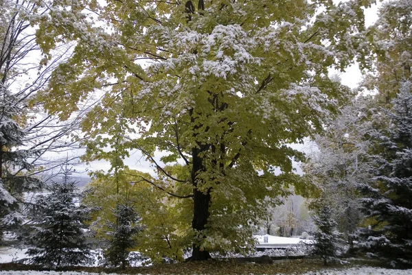 Τέλη Του Φθινοπώρου Τοπίο Στο Bromont Ανατολική Κωμόπολη Του Κεμπέκ — Φωτογραφία Αρχείου
