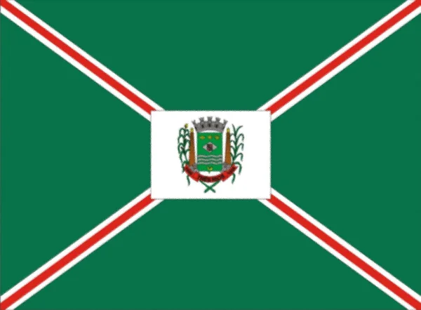 Bandeira Trs Rios Textura Fundo — Fotografia de Stock