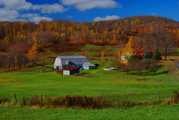 Farm Bromont Quebec Canada Fall — Stock Photo, Image