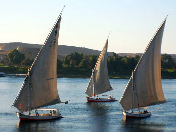 Aswan Egypt Felucca Vitorlák Nílus Folyón Aswan Közelében Egyiptomban Látott — Stock Fotó