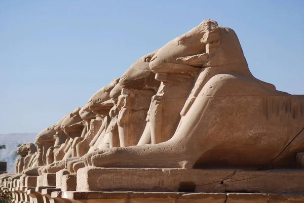 Balanço Beco Com Cabeças Carneiros Templo Karnak Bem Como Várias — Fotografia de Stock