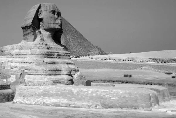 Каїро Єгипет Великий Сфінкс Статуї Гізи Напівлежачий Сфінкс Міфічна Істота — стокове фото