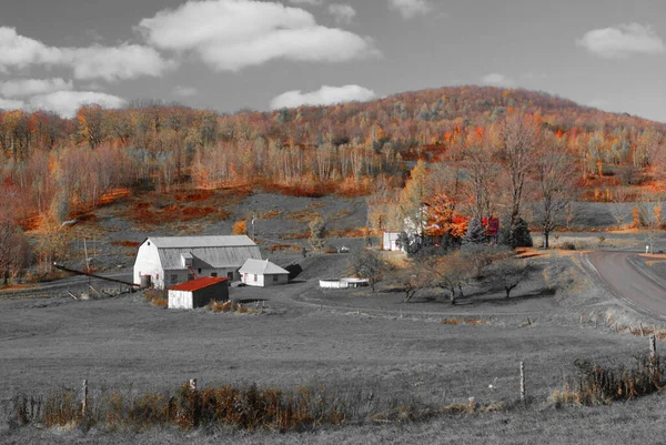Farm Bromont Quebec Canada Fall — Stock Photo, Image