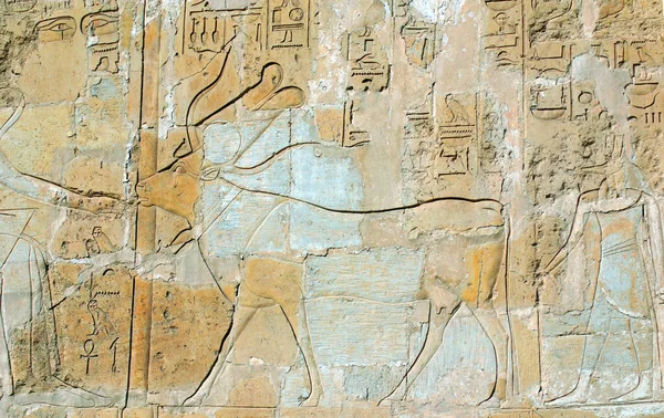 Хатшепсут Хатчепсут Означавший Фараон Пятым Фараоном Восемнадцатой Династии Древнего Египта — стоковое фото