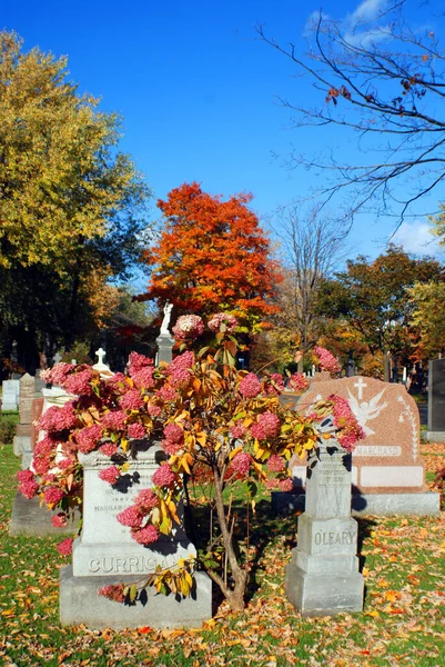 Montreal Canada Outubro 2015 Cemitério Notre Dame Des Neiges Com — Fotografia de Stock