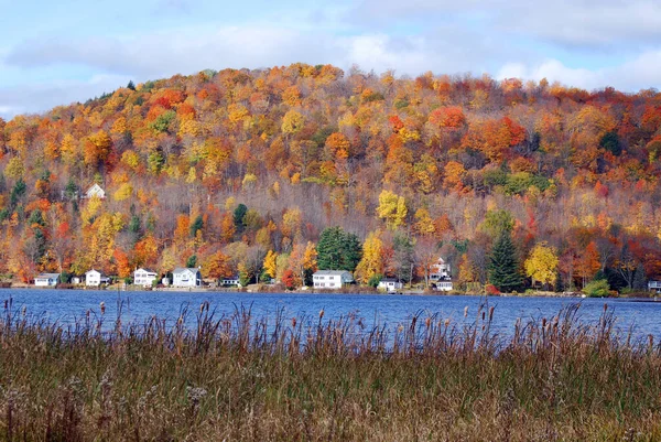 Nära Bromont Sjö Hösten Quebec Kanada — Stockfoto