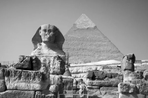 Cairo Egito 2010 Grande Esfinge Gizé Esfinge Gizé Uma Estátua — Fotografia de Stock