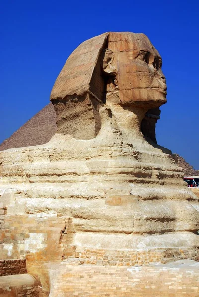 Cairo Egypt 2010 Великий Сфинкс Гизы Сфинкса Гизы Известняковая Статуя — стоковое фото