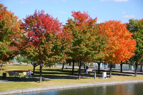 Montreal Quebec Canada 2010 Φθινοπωρινό Τοπίο Από Parc Jean Drapeau — Φωτογραφία Αρχείου