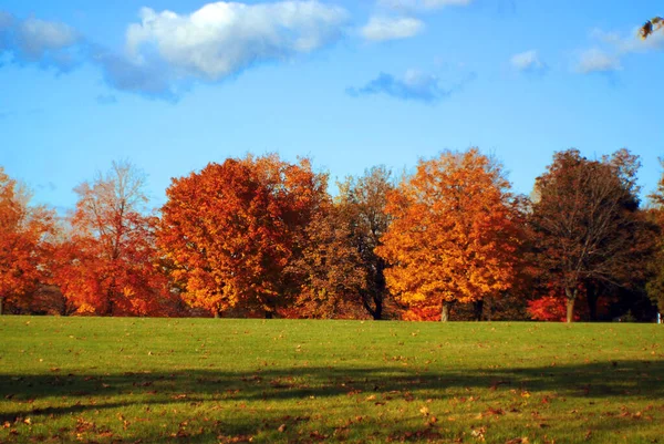 Krásná Podzimní Krajina Bromontu Kanada — Stock fotografie