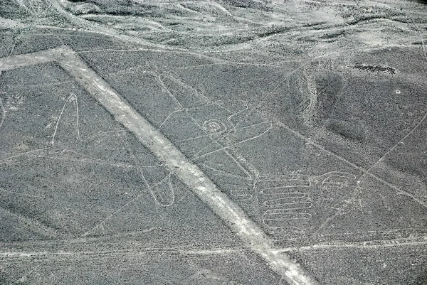 Linee Nazca Ands Perù — Foto Stock