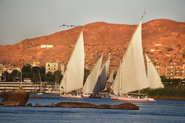 Aswan Egypt Felucca Πλέει Στον Ποταμό Νείλο Κοντά Στο Ασουάν — Φωτογραφία Αρχείου