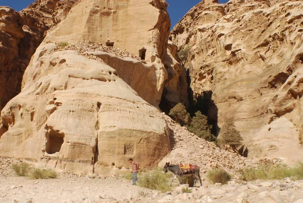 Paysage Montagne Petra Ruine Ville Antique Wadi Musa Jordanie Arabe — Photo