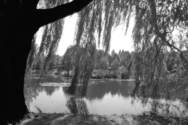 Vallende Landschapsreflectie Montreal Provincie Quebec Canada — Stockfoto