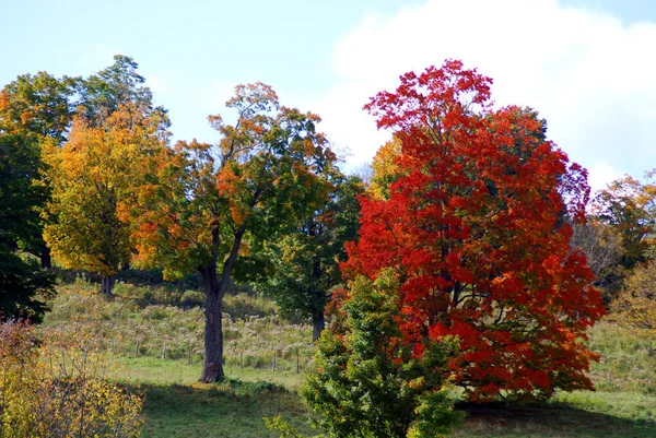 Bromont, Kanada 'da güzel bir sonbahar manzarası