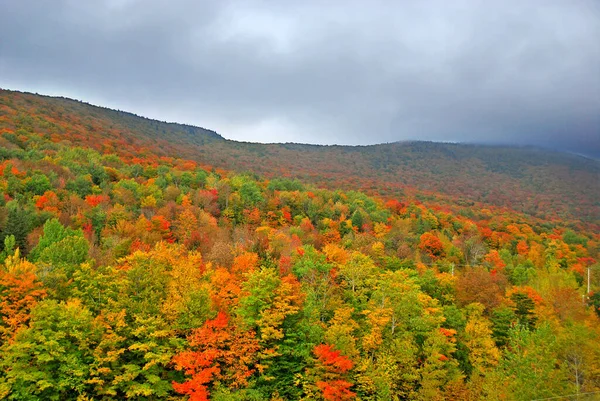 Höstlandskap Quebec Provinsen Kanada — Stockfoto