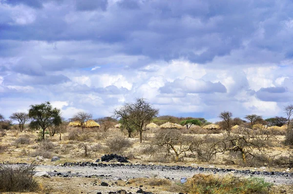 Вид Африканскую Равнину Кении Амбосели — стоковое фото