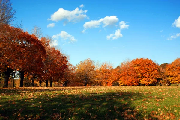 Krásná Podzimní Krajina Bromontu Kanada — Stock fotografie