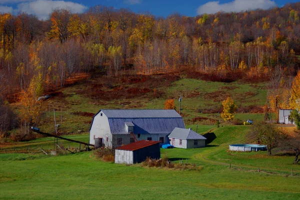 Bromont, Quebec, Kanada 'da sonbaharda çiftlik