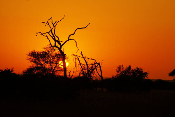 Brillant Sunset over Kruger park, South Africa