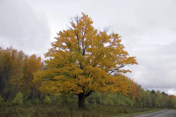 Montreal 'den Jean Drapeau Parc