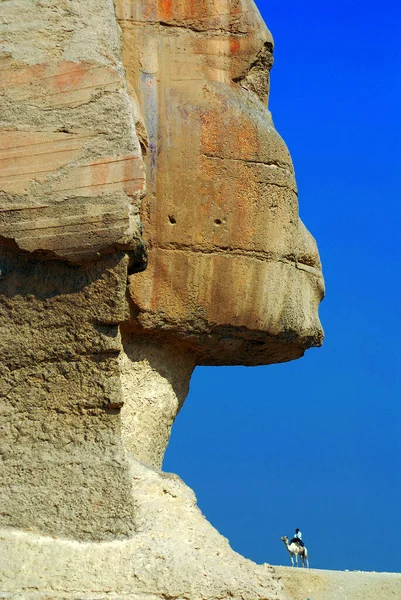 カイロEgypt 2010 ギザの大スフィンクスまたはギザのスフィンクスは リクライニングスフィンクス ライオンの体と人間の頭を持つ神話的な生き物の石灰岩の像です — ストック写真