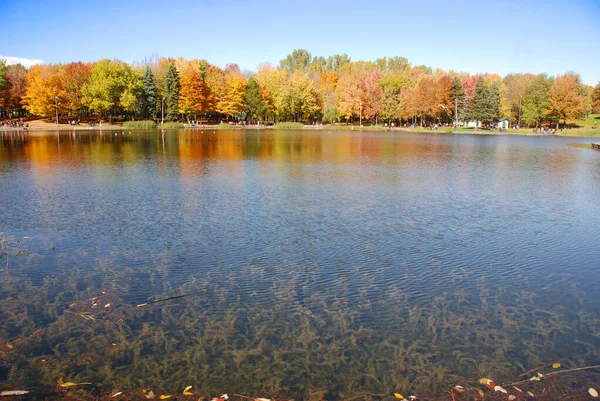 Uma Bela Paisagem Outono Com Água Árvores Coloridas — Fotografia de Stock