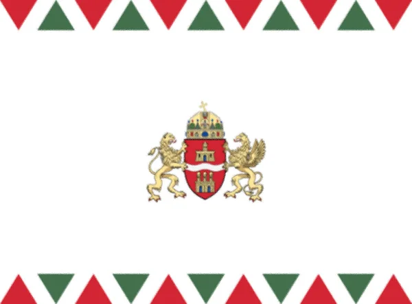 Budapests Flagga Ungerns Huvudstad Och Folkrikaste Stad Och Den Tionde — Stockfoto