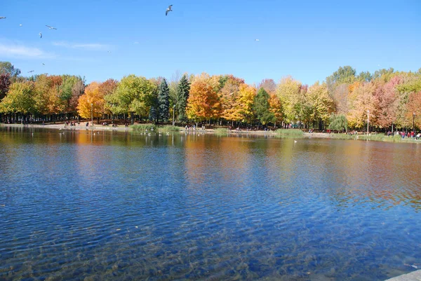 Piękny Jesienny Krajobraz Wodą Kolorowe Drzewa — Zdjęcie stockowe