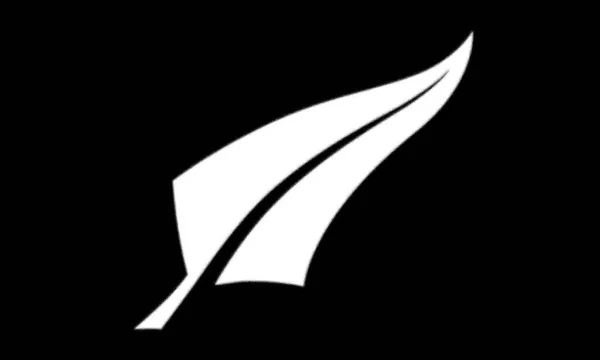 Предлагаемый Флаг Новой Зеландии Основанный Сильно Стилизованном Серебряном Папоротнике — стоковое фото