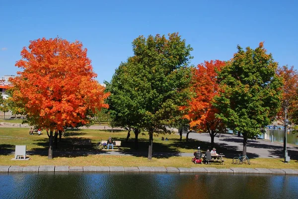 Montreal Quebec Canada 2010 Φθινοπωρινό Τοπίο Από Parc Jean Drapeau — Φωτογραφία Αρχείου