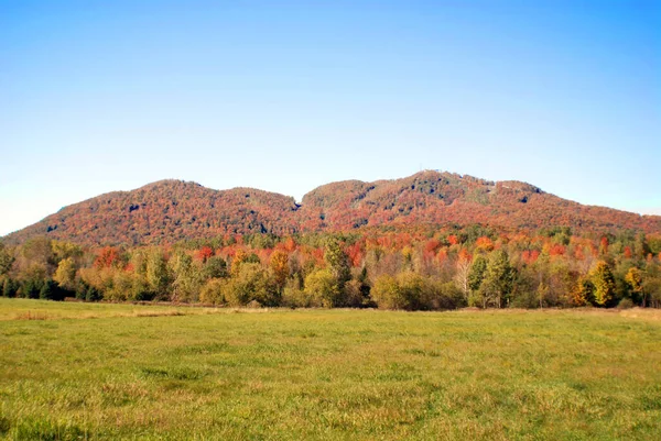 Bela Paisagem Outono Bromont Canadá — Fotografia de Stock