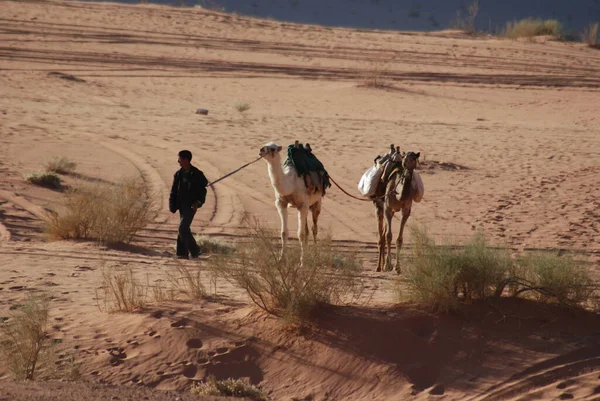 Petra Jordán Nov Hombre Identificado Espera Los Turistas Para Pasear — Foto de Stock