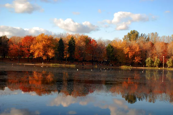 Красивый Осенний Пейзаж Озером Бромонте Канада — стоковое фото