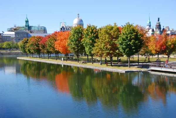 Montréal Québec Canada 2010 Paysage Automnal Parc Jean Drapeau Avec — Photo